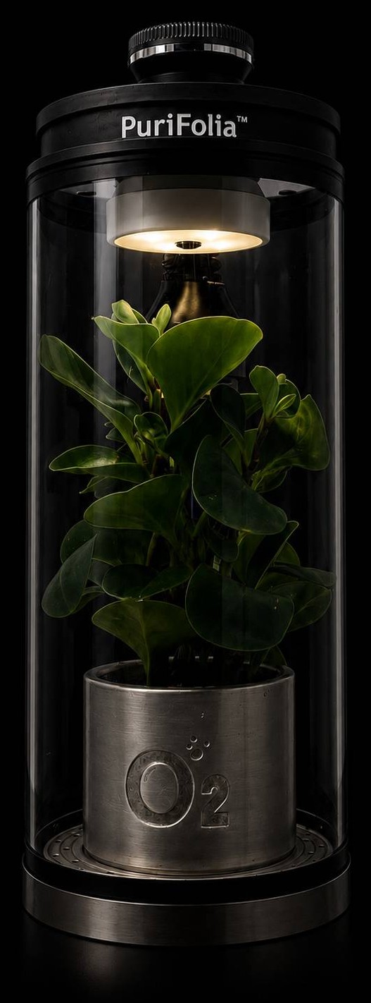 PuriFolia Gen 1 cylinder